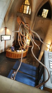 The Giant Squid prepares for its annual examination