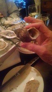 IMG_20151113_161949421