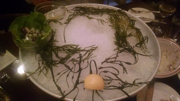 IMG_20151113_164935672